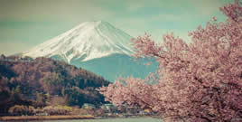 日本